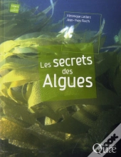 Les Secrets Des Algues