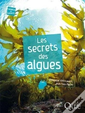 Capa do artigo Les Secrets Des Algues