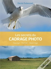 Les Secrets Du Cadrage Photo ; Paysage, Portrait, Reportage