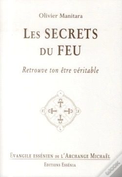 Capa do artigo Les Secrets Du Feu - Evangile Essenien T.33