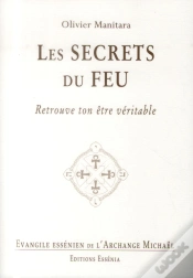 Capa do artigo Les Secrets Du Feu - Evangile Essenien T.33