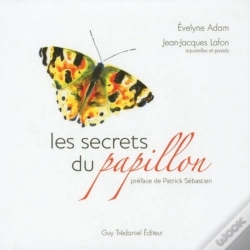 Capa do artigo Les Secrets Du Papillon