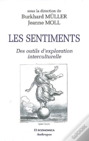 Capa do artigo Les Sentiments ; Des Outils D