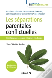 Les Séparations Parentales Conflictuelles ; Conséquences Et Prises En Charge