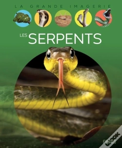 Capa do artigo Les Serpents