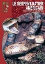 Les Serpents-Ratiers À Queue Lignée : Orthriophis Taeniurus, Elaphe Taeniura - Preview
