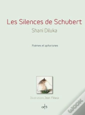 Les Silences De Schubert