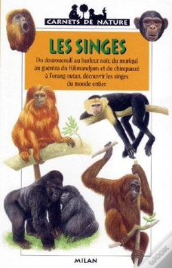 Capa do artigo Les Singes