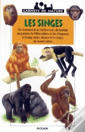 Capa do artigo Les Singes