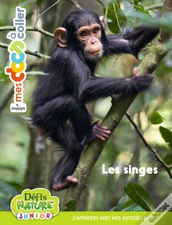 Capa do artigo Les Singes