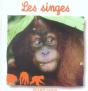 Les Singes - Preview