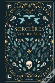 Capa do artigo Les Sorcières Van Der Beek - Intégrale