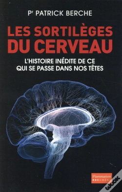 Capa do artigo Les Sortilèges Du Cerveau
