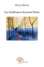 Les Souffrances Du Jeune Pierre - Preview