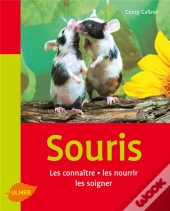 Les Souris