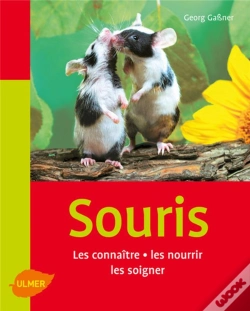 Capa do artigo Les Souris