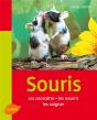 Les Souris - Preview