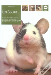 Capa do artigo Les Souris