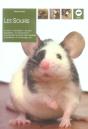Les Souris - Preview