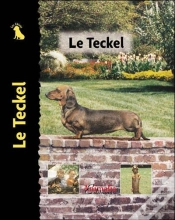 Capa do artigo Les Teckels
