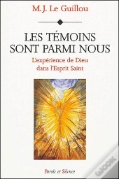 Les Témoins Sont Parmi Nous ; L'Expérience De Dieu Dans L'Esprit Saint