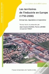 Les Territoires De L'Industrie En Europe, 1750-2000. Entreprises, Régulations Et Trajectoires