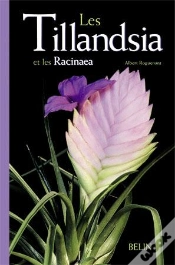 Capa do artigo Les Tillandsia Et Les Racinaea