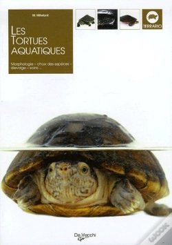 Capa do artigo Les Tortues Aquatiques