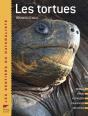 Les Tortues - Preview