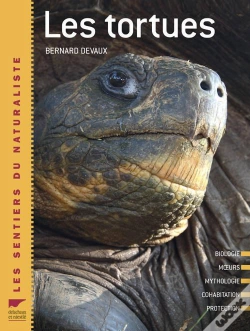 Capa do artigo Les Tortues