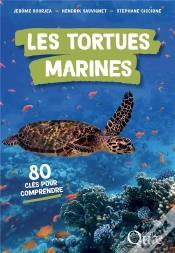 Capa do artigo Les Tortues Marines : 80 Clés Pour Comprendre