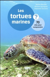 Capa do artigo Les Tortues Marines