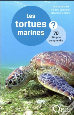 Capa do artigo Les Tortues Marines