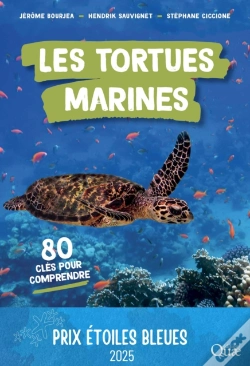 Capa do artigo Les Tortues Marines