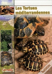 Les Tortues Méditerranéennes
