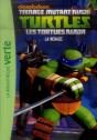Les Tortues Ninja 04 - Preview