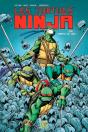 Les Tortues Ninja T.2 - Preview