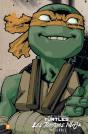 Les Tortues Ninja - Tmnt : L'Intégrale T7 - Preview