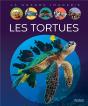 Les Tortues - Preview