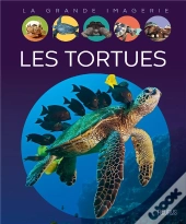 Les Tortues