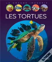 Capa do artigo Les Tortues