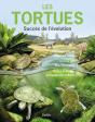 Les Tortues : Succès De L'Évolution - Preview