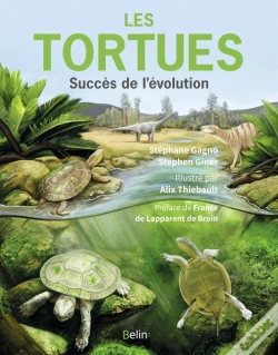 Capa do artigo Les Tortues : Succès De L'Évolution
