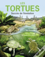 Capa do artigo Les Tortues : Succès De L