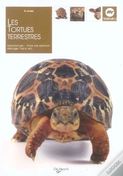 Capa do artigo Les Tortues Terrestres