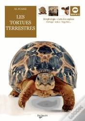 Capa do artigo Les Tortues Terrestres
