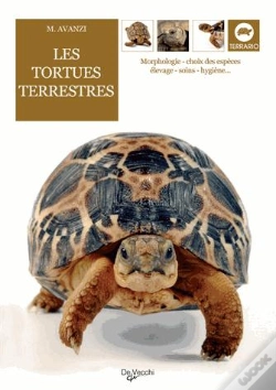 Capa do artigo Les Tortues Terrestres