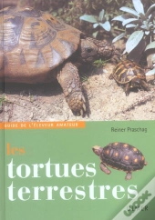 Les Tortues Terrestres