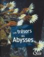 Les Trésors Des Abysses ; Désert Stérile Ou Eldorado ? - Preview