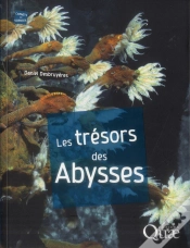 Capa do artigo Les Trésors Des Abysses ; Désert Stérile Ou Eldorado ?